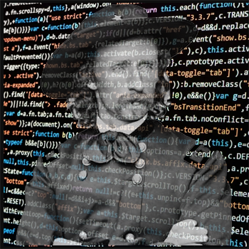 Geo.Custer embedded in computer code