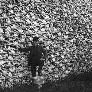 1000s of bison skulls